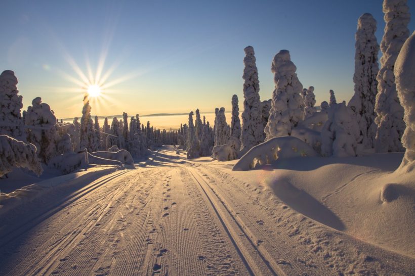 adventure-cold-cross-country-skiing-dawn-416728